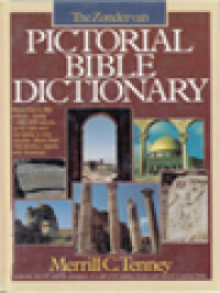 Image of The Zondervan Pictorial Bible Dictionary