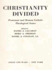 Image of Christianity Divided: Protestant And Roman Catholic Theological Issues / Daniel J. Callahan, Heiko A. Oberman, Daniel J. O'Hanlon (Edited)
