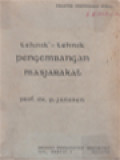 Tehnik-Tehnik Pengembangan Masjarakat: Praktek Pekerdjaan Sosial