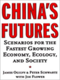 Image of China's Futures: Scenarios For The World's Fastest Growing Economy, Ecology, And Society