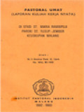 Pastoral Umat, (Laporan Kuliah Kerja Nyata), Di Stasi St. Maria Rambipuji Paroki St. Yusup - Jember Keuskupan Malang