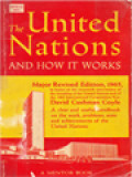 The United Nations And How It Works