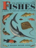 Fishes: A Guide To Familiar American Species, 278 Species In Full Color