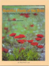 Image of Beautiful Plants Of The Bible: From The Hyssop To The Mighty Cedar Trees