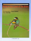 Birds In The Land Of The Bible