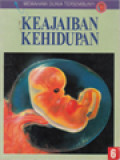 Keajaiban Kehidupan