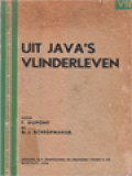 Uit Java's Vlinderleven