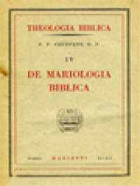 Theologia Biblica IV: De Mariologia Biblica