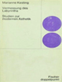 Image of Vermessung Des Labyrinths: Studien Zur Modern Ästhetik