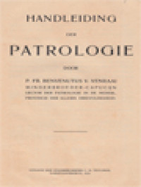 Image of Handleiding Der Patrologie