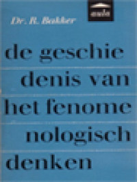 De Geschiedenis Van Het Fenomenologisch Denken