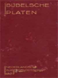Image of Bijbelsche Platen: Met Bijbehoorenden Bijbeltekst