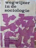 Wegwijzer In De Sociologie