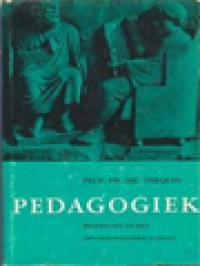 Image of Pedagogiek: Bezinning Op Het Opvoedingsverschijnsel