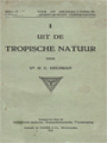 Uit De Tropische Natuur