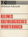 Kleines Soziologisches Wörterbuch