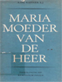 Maria Moeder Van De Heer: Theologische Beschouwingen