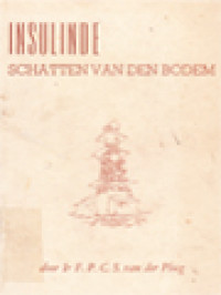 Insulinde Schatten Van Den Bodem