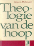 Theologie Van De Hoop: Studies Over De Grondslagen En Konsekwenties Van Een Christelijke Eschatologie