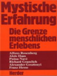 Image of Mystische Erfahrung: Die Grenze Menschlichen Erlebens