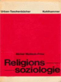 Religionssoziologie: Eine Einführung