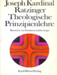 Image of Theologische Prinzipienlehre: Bausteine Zur Fundamentaltheologie