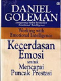 Kecerdasan Emosi Untuk Mencapai Puncak Prestasi