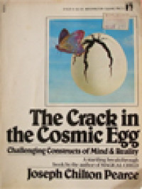 Image of The Crack In The Cosmic Egg: Challenging Constructs Of Mind And Reality