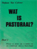 Wat Is Pastoraal? I: Priester En Pastor Zijn Te Midden Van Veranderende Kerk En Maatschappij