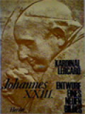 Johannes XXIII. Entwurf Eines Neuen Bildes