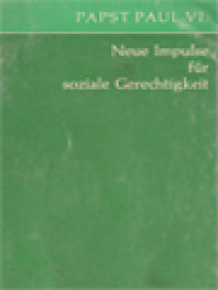 Image of Neue Impulse Für Soziale Gerechtigkeit: Apostolisches Schreiben 