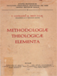 Image of Methodologiæ Theologicæ Elementa