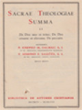 Sacrae Theologiae Summa II: De Deo Uno Et Trino, De Deo Ceante Et Elevante, De Peccatis