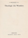 Theologie Des Wunders