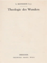 Theologie Des Wunders