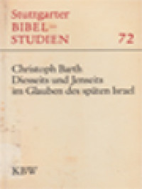 Image of Diesseits Und Jenseits Im Glauben Des Späten Israel