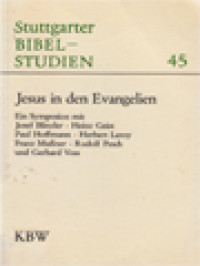 Image of Jesus In Den Evangelien