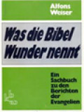 Was Die Bibel Wunder Nennt: Ein Sachbuch Zu Den Berichten Der Evangelien