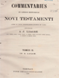 Image of Commentarius In Libros Historicos Novi Testamenti II: In S. Lucam Et Joannem