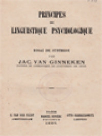 Principes De Linguistique Psychologique: Essai De Synthèse