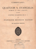 Commentarius In Quatuor S. Evangelia Domini N. Iesu Christi IV: Evangelium Secundum Ioannem