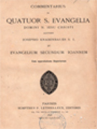 Commentarius In Quatuor S. Evangelia Domini N. Iesu Christi IV: Evangelium Secundum Ioannem