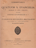 Commentarius In Quatuor S. Evangelia Domini N. Jesu Christi I-1: Evangelium Secundum S. Matthaeum