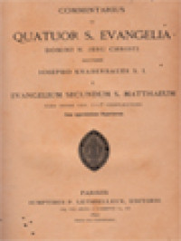 Commentarius In Quatuor S. Evangelia Domini N. Jesu Christi I-2: Evangelium Secundum S. Matthaeum