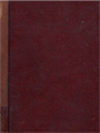 Image of Het Nieuwe Testament II,III