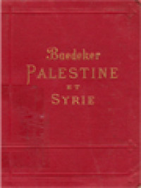 Palestine Et Syrie: A Travers La Mésopotamie Et La Babylonie L'ile De Chypre, Manuel Du Voyageur