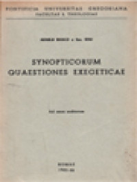 Synopticorum Quaestiones Exegeticae