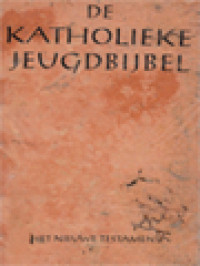 Image of De Katholieke Jeugdbijbel: Het Nieuwe Testament