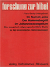 Im Namen Jesu Der Namensbegriff Im Johannesevangelium: Eine Exegetisch Religionsgeschichtliche Studie Zu Den Johanneischen Namensaussagen