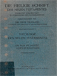 Die Heilige Schrift Des Neuen Testamentes: Theologie Des Neuen Testamentes II